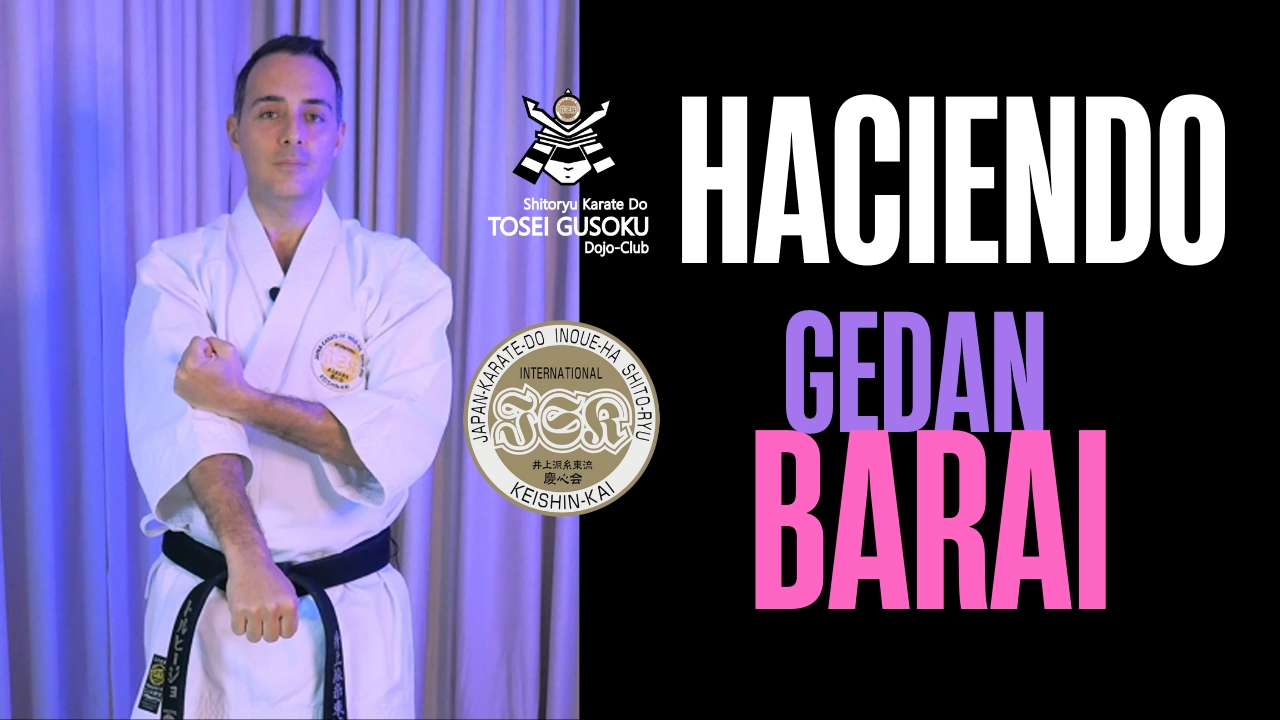 Gedan Barai